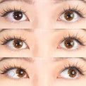 Sweety Shine Smile Brown (1 lens/pack)-Colored Contacts-UNIQSO EU