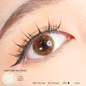 Sweety Shine Smile Brown (1 lens/pack)-Colored Contacts-UNIQSO EU