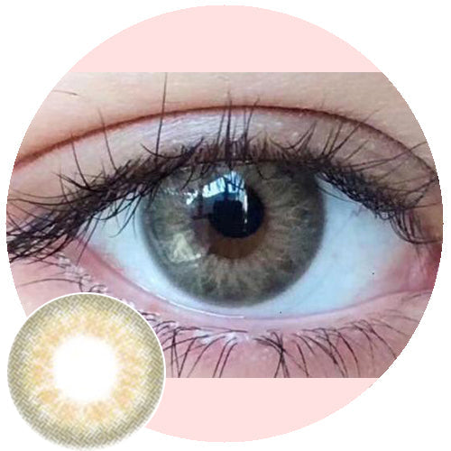 Sweety Taylor Brown (1 lens/pack)-Colored Contacts-UNIQSO EU