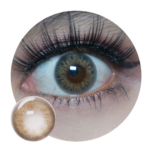 Sweety Taylor Brown (1 lens/pack)-Colored Contacts-UNIQSO EU