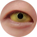 Sweety Yellow Sclera Contacts (1 lens/pack)-Sclera Contacts-UNIQSO EU