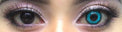 Sweety Crazy Undead Fusion Blue (1 lens/pack)-Crazy Contacts-UNIQSO