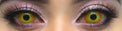 Sweety Crazy Yellow Sun / Pennywise (1 lens/pack)-Crazy Contacts-UNIQSO
