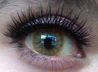 Western Eyes Solotica Brown (1 lens/pack)-Colored Contacts-UNIQSO