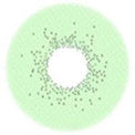 Urban Layer Be Natural Green - aka Spatax Green (1 lens/pack)-Colored Contacts-UNIQSO EU