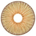 Urban Layer New York Brown (1 lens/pack)-Colored Contacts-UNIQSO EU
