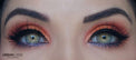 Urban Layer New York Grey (1 lens/pack)-Colored Contacts-UNIQSO EU