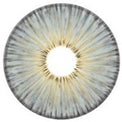 Urban Layer New York Grey (1 lens/pack)-Colored Contacts-UNIQSO EU