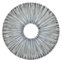 Urban Layer New York Grey - NEW (1 lens/pack)-Colored Contacts-UNIQSO EU