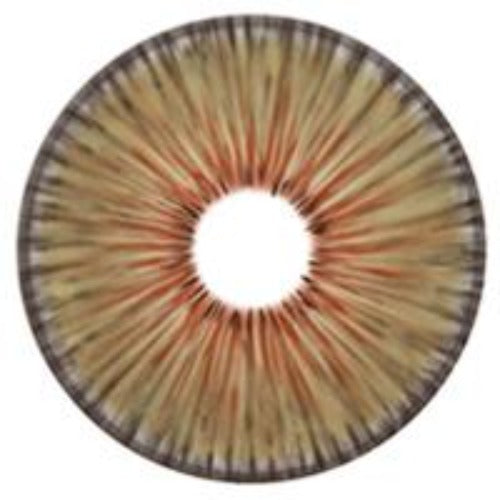 Urban Layer New York Hazel - NEW (1 lens/pack)-Colored Contacts-UNIQSO EU
