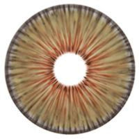 Urban Layer New York Hazel - NEW (1 lens/pack)-Colored Contacts-UNIQSO EU