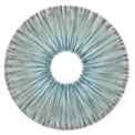 Urban Layer New York Jade- NEW (1 lens/pack)-Colored Contacts-UNIQSO EU