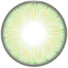 Urban Layer Orlando Emerald colored contacts