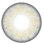 Urban Layer Orlando Grey (1 lens/pack)-Colored Contacts-UNIQSO EU