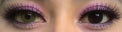 Urban Layer Universe Brown - aka Spatax Love Brown (1 lens/pack)-Colored Contacts-UNIQSO EU