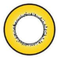 Western Eyes Amazed Doll Brown (1 lens/pack) [Exp: 03/2026]-Colored Contacts-UNIQSO EU