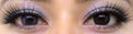 Western Eyes Hybrid Violet (1 lens/pack)-Colored Contacts-UNIQSO EU