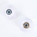Western Eyes Nada Peace Brown (1 lens/pack) [Exp: 06/2027]-Colored Contacts-UNIQSO EU