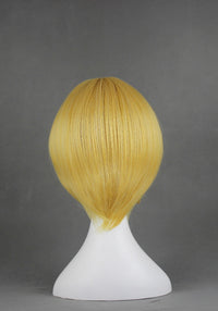 Cosplay Wig - Katekyo Hitman Reborn: Belphegor-Cosplay Wig-UNIQSO