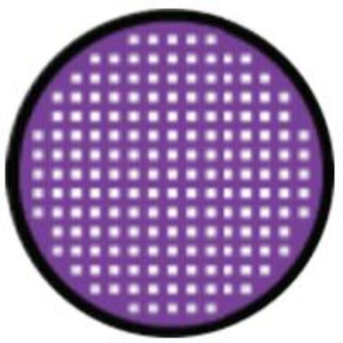 Sweety Crazy Violet Mesh Rim (1 lens/pack)-Crazy Contacts-UNIQSO