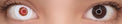 Western Eyes Crazy Humanoid Terminator (1 lens/pack)-Crazy Contacts-UNIQSO