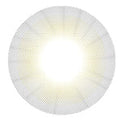 Sweety Clarity Grey (1 lens/pack)-Colored Contacts-UNIQSO