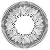 Kazzue Winter Grey (1 lens/pack)-Colored Contacts-UNIQSO